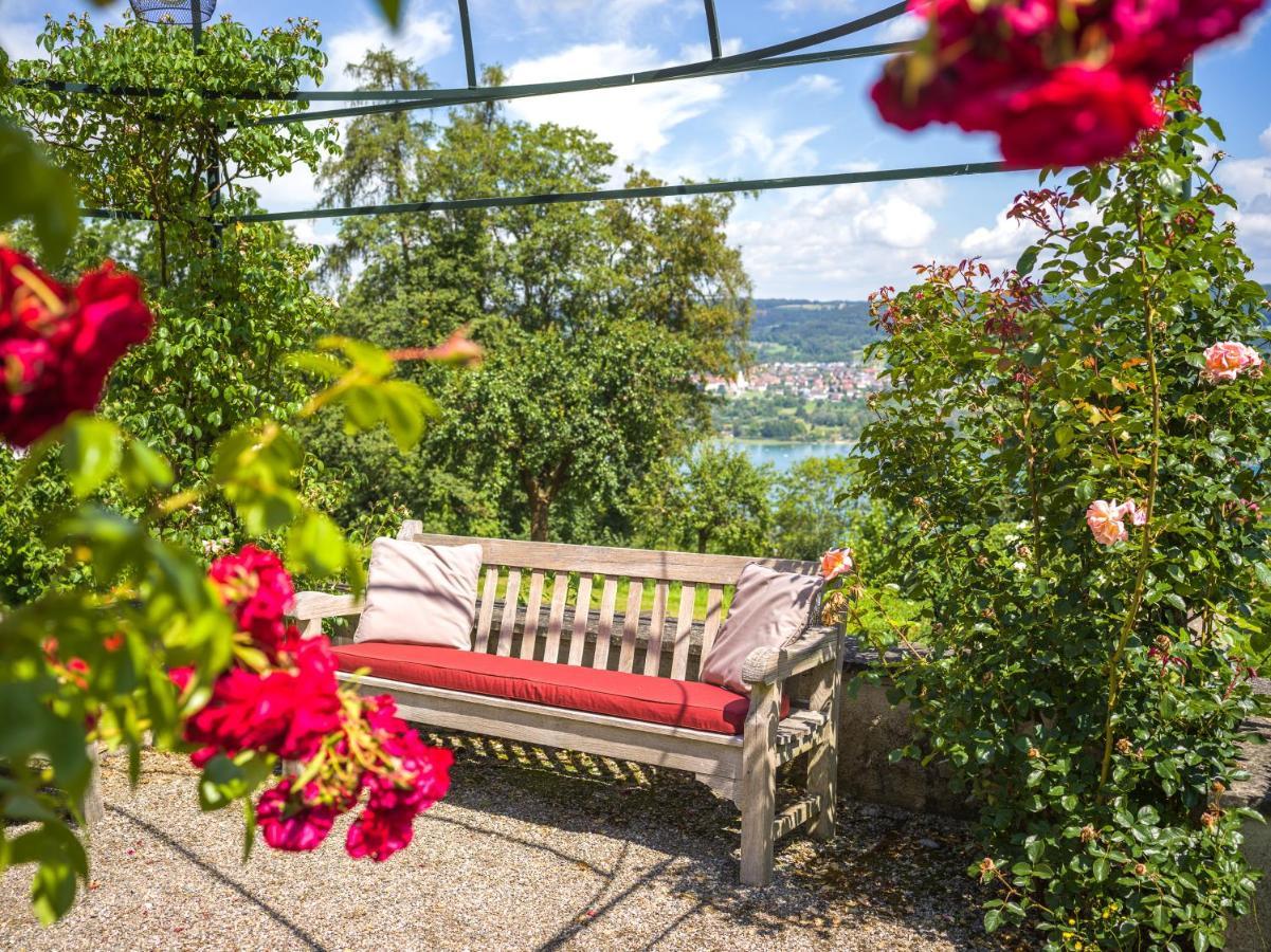 Schloss Freudenfels Эшенц Экстерьер фото