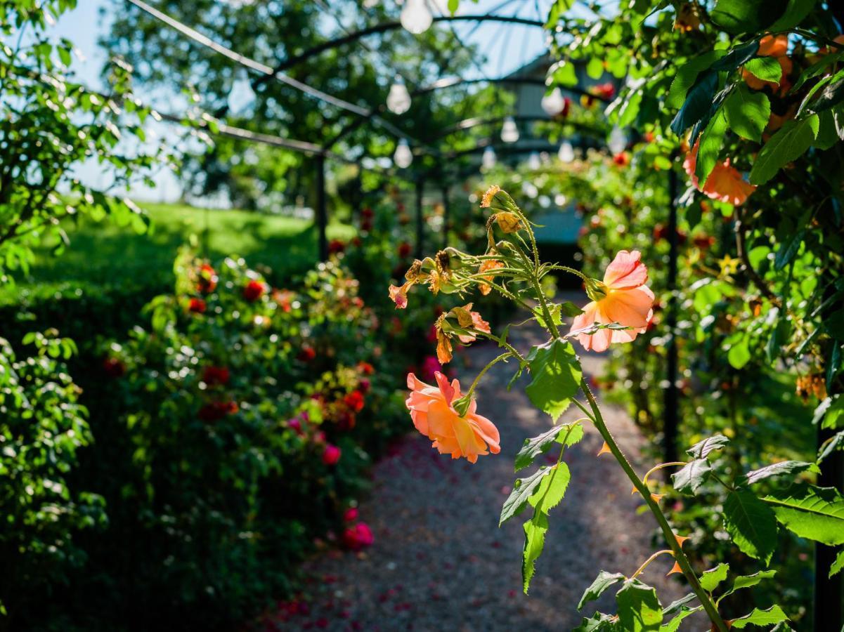 Schloss Freudenfels Эшенц Экстерьер фото
