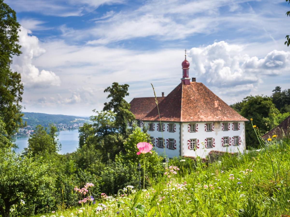 Schloss Freudenfels Эшенц Экстерьер фото